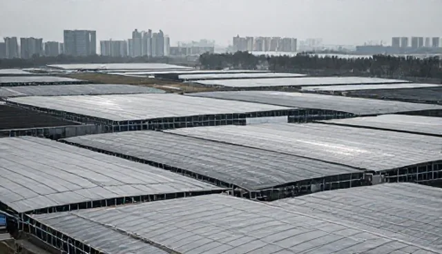 资源分配中团队技术支持的检查要点